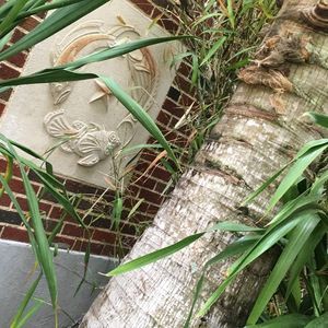 Meet your Posher, Lydia